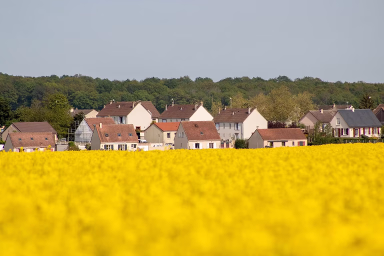 Une photo de Saint-Nom-la-Bretèche, où sont présents les coachs scolaires de Futurness.
